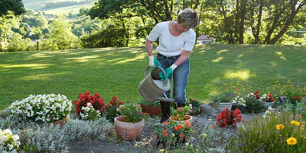 A Lady watering the flowers in the garden and also applied the Pest Control Products for the growth.